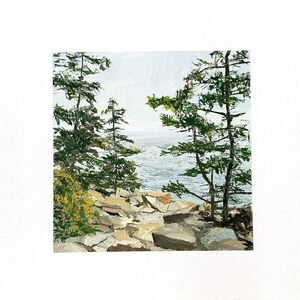 8x8 Maine Original Oil Painting Seascape Acadia National Park Pines Rock Signed